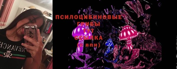 молекула духа Белоозёрский