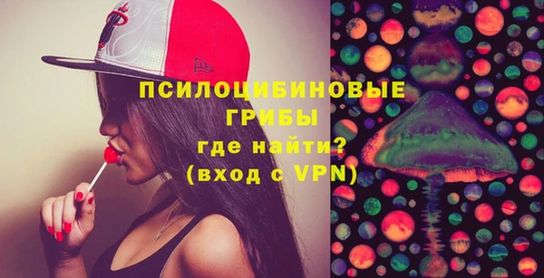 гидра Белокуриха
