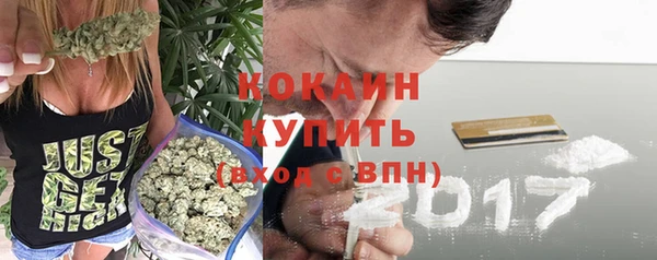 гидра Белокуриха