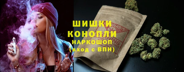 молекула духа Белоозёрский