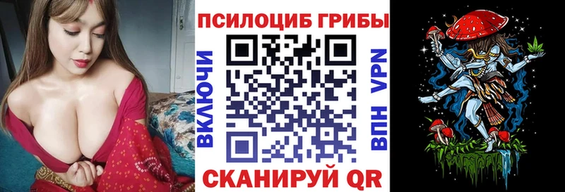 даркнет какой сайт  Мценск  Галлюциногенные грибы Psilocybine cubensis 